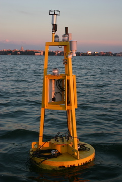 David Buoy