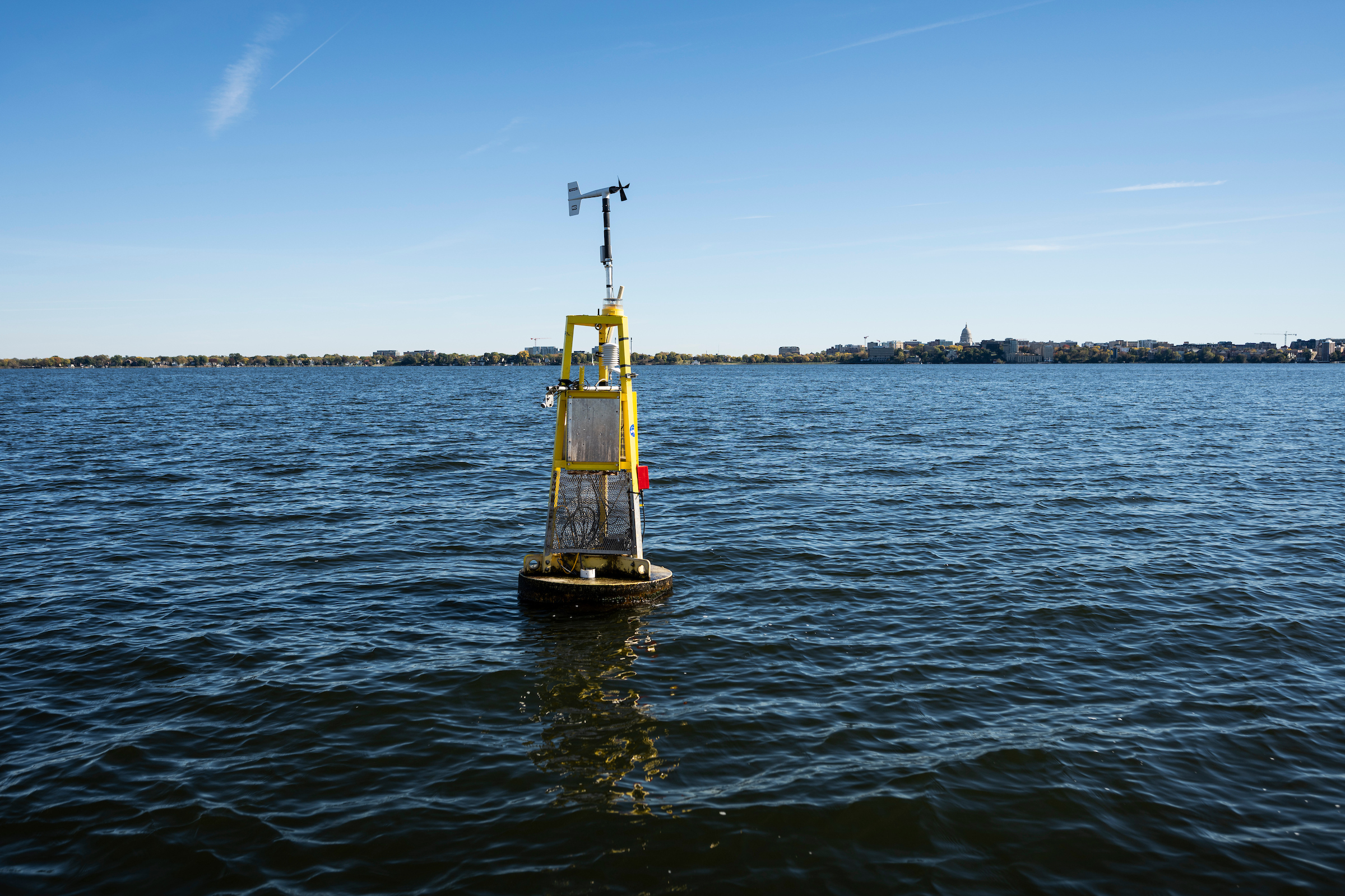 David Buoy